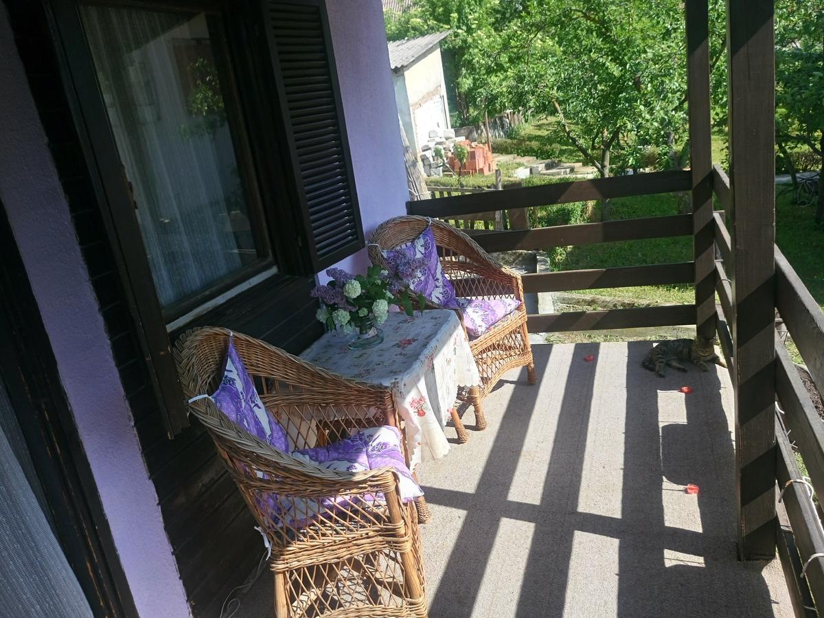 Apartmani Jankovic Vrdnik Exterior photo